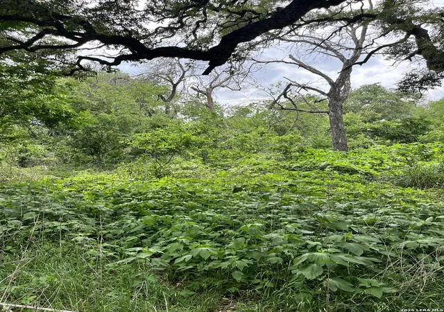 Photo 3 of Land for sale at 12760 Bernhardt Rd, San Antonio, TX 78263 | MLS# 1959598 | Listing updated on 2026-07-25