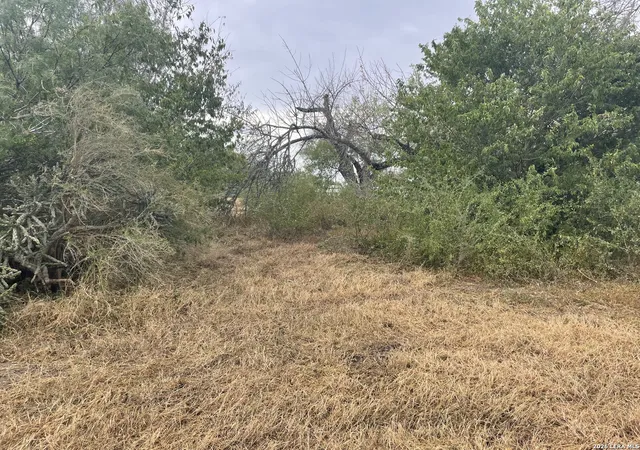 35th image of 4672 Rakowitz, Adkins, TX 78101 | MLS# 1959669