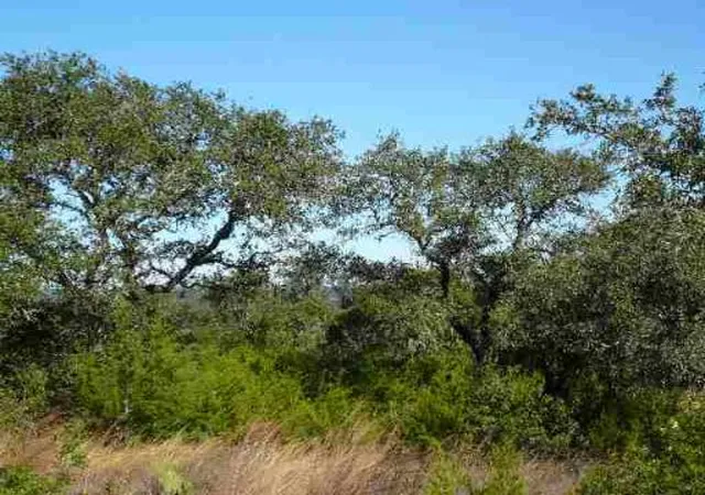 4th image of 17550 County Road 175, Helotes, TX 78023 | MLS# 1959702