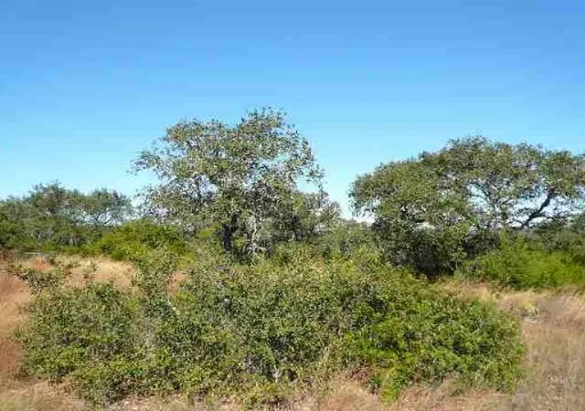 5th image of 17550 County Road 175, Helotes, TX 78023 | MLS# 1959702