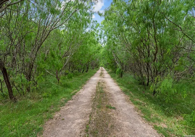 4th image of 1911 Wald, New Braunfels, TX 78132 | MLS# 1959972