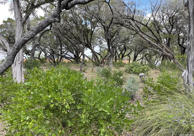 4th image of Lots 11&12 Elm Cove, Lakehills, TX 78063 | MLS# 1959981