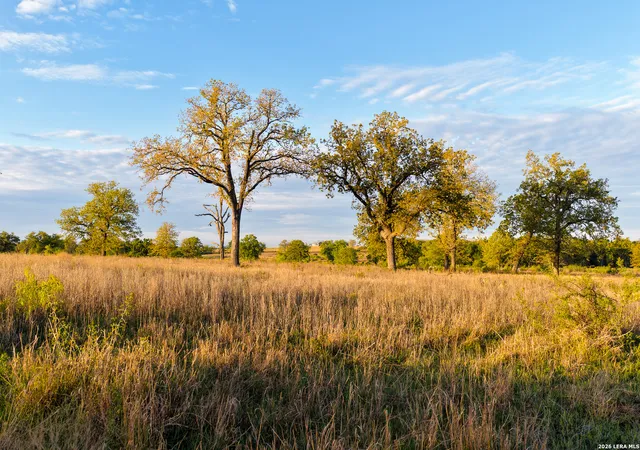 49th image of 5098 S Fm 486, Thorndale, TX 76577 | MLS# 1960151