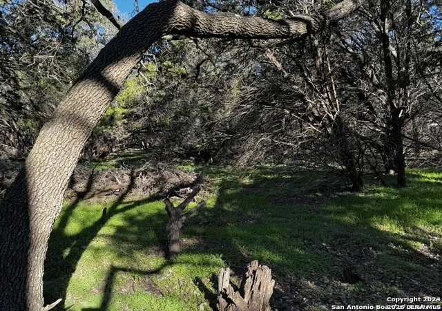 2nd image of 5111 Fm 1863, Bulverde, TX 78163 | MLS# 1960164