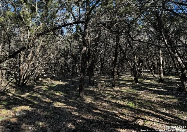 3rd image of 5111 Fm 1863, Bulverde, TX 78163 | MLS# 1960164