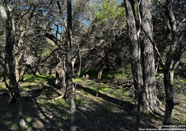 4th image of 5111 Fm 1863, Bulverde, TX 78163 | MLS# 1960164