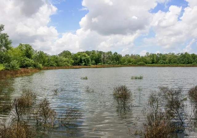 Photo 4 of House for sale at 1277 County Road 138, Floresville, TX 78114 | MLS# 1960496 | Listing updated on 2026-08-11