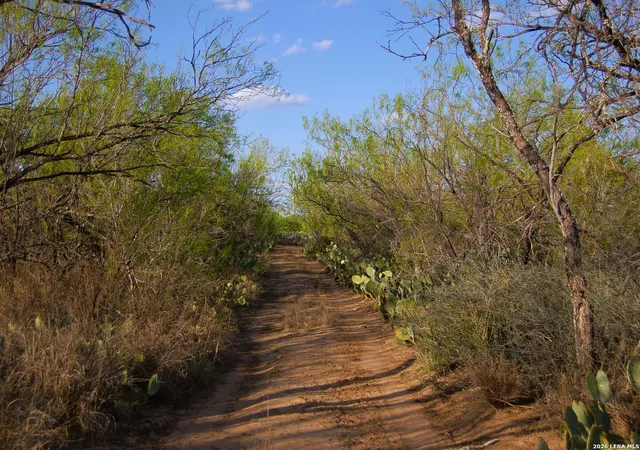 1st image of Tbd Fm 186, Carrizo Springs, TX 78834 | MLS# 1960634