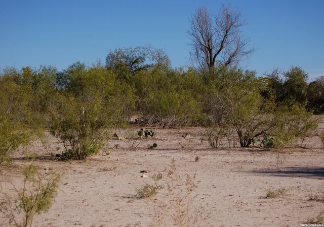 2nd image of Tbd Fm 186, Carrizo Springs, TX 78834 | MLS# 1960634