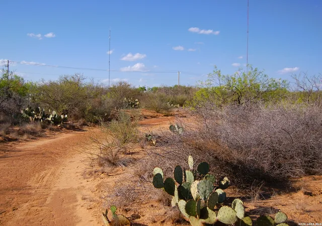 3rd image of Tbd Fm 186, Carrizo Springs, TX 78834 | MLS# 1960634