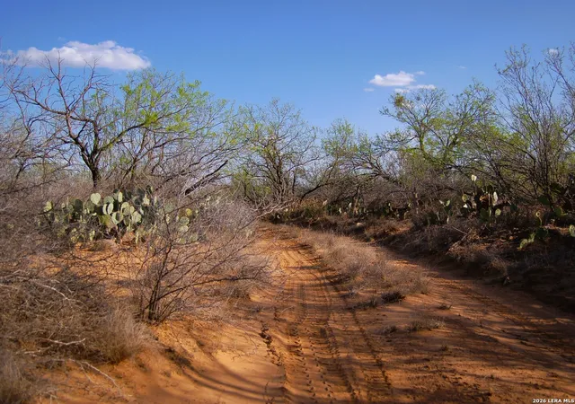4th image of Tbd Fm 186, Carrizo Springs, TX 78834 | MLS# 1960634
