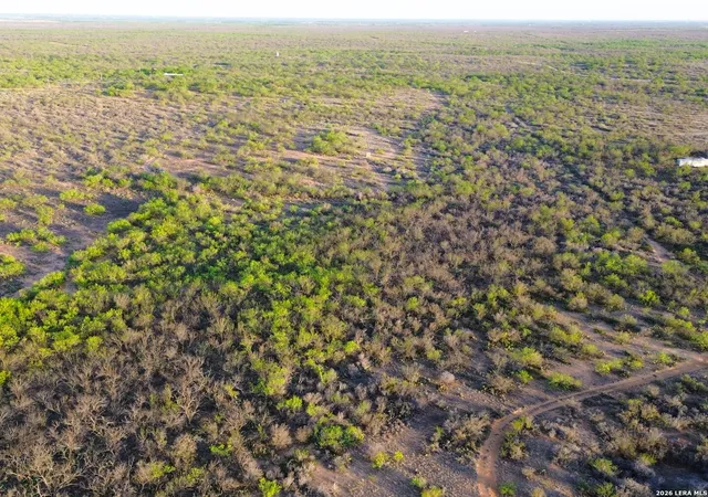 47th image of Tbd Fm 186, Carrizo Springs, TX 78834 | MLS# 1960634