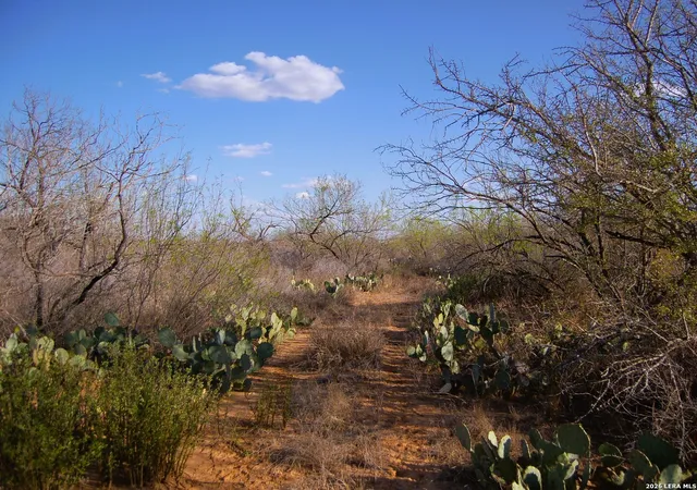 5th image of Tbd Fm 186, Carrizo Springs, TX 78834 | MLS# 1960634