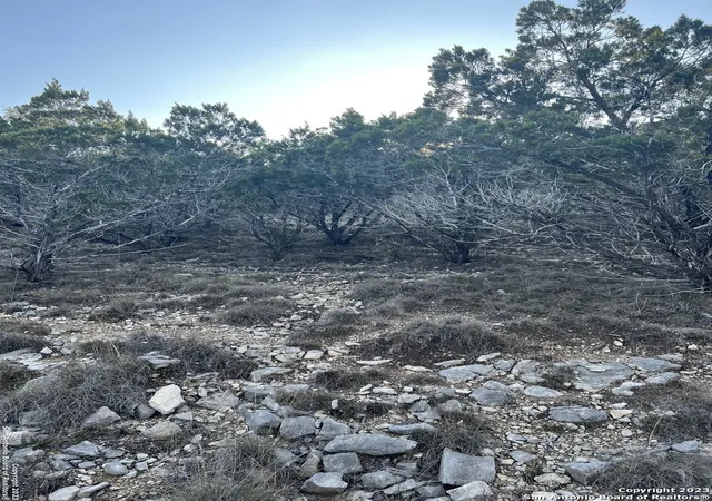 5th image of Lot 3 Forest Breeze Dr, Lakehills, TX 78063 | MLS# 1960990