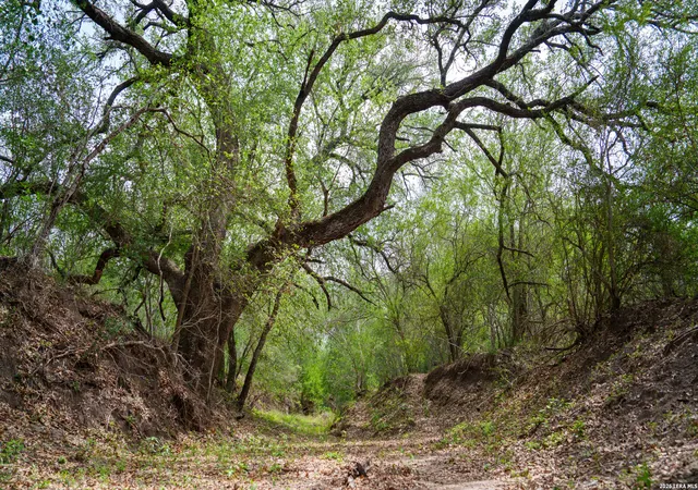 Photo 1 of Land for sale at 1251 County Road 210, Karnes City, TX 78118 | MLS# 1961294 | Listing updated on 2026-08-24