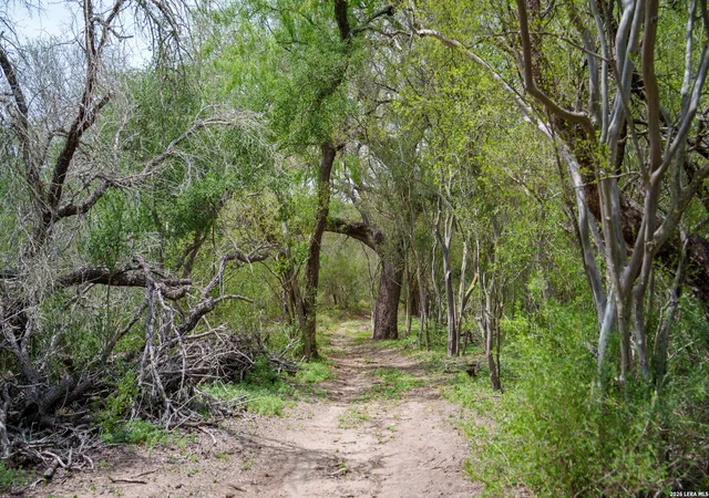 Photo 3 of Land for sale at 1251 County Road 210, Karnes City, TX 78118 | MLS# 1961294 | Listing updated on 2026-08-24