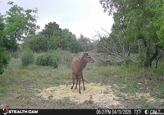 5th image of 870 Rocky Top Road Soutwest, Hunt, TX 78024 | MLS# 1961306