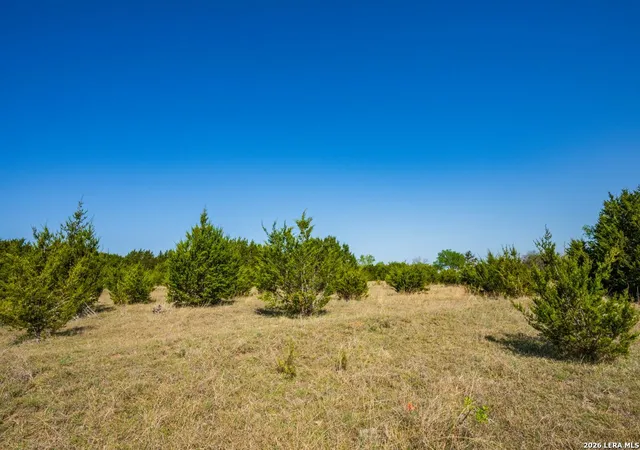1st image of 0 Farm To Market 1241, Purmela, TX 76566 | MLS# 1961307