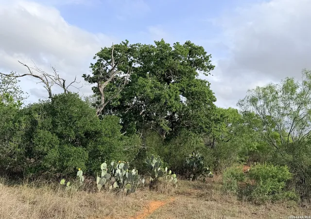 1st image of 3980 Hwy 173, Jourdanton, TX 78026 | MLS# 1961375