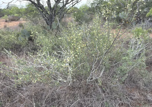 4th image of 3980 Hwy 173, Jourdanton, TX 78026 | MLS# 1961375