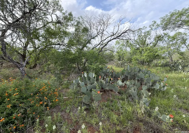 5th image of 3980 Hwy 173, Jourdanton, TX 78026 | MLS# 1961375