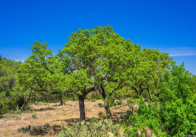 Photo 3 of House for sale at 853 Elm Ridge Rd, Fredericksburg, TX 78624 | MLS# 1962129 | Listing updated on 2026-05-10