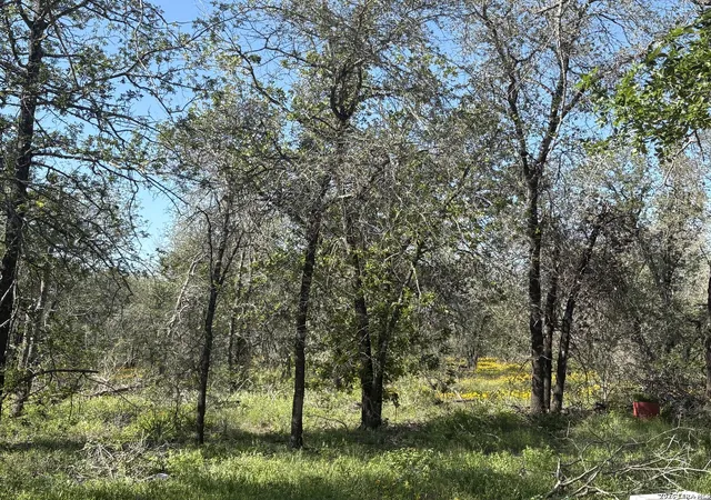 Photo 3 of Land for sale at 23330 Hickory Shadow #2, Elmendorf, TX 78112 | MLS# 1962266 | Listing updated on 2026-05-14