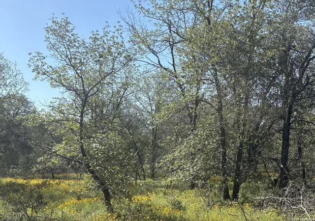 Photo 3 of Land for sale at 23330 Hickory Shadow #2, Elmendorf, TX 78112 | MLS# 1962266 | Listing updated on 2026-05-14