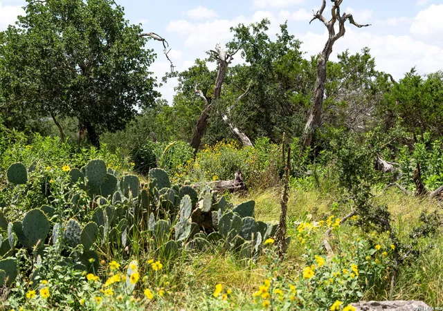 13th image of 211 Spring Rd, Fredericksburg, TX 78624 | MLS# 1962900