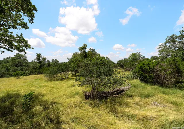 4th image of 211 Spring Rd, Fredericksburg, TX 78624 | MLS# 1962900