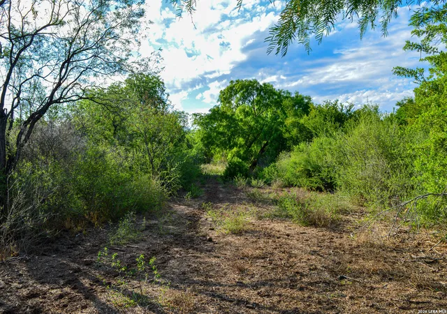 75th image of 3472 Wilson Rd, Carrizo Springs, TX 78834 | MLS# 1963090
