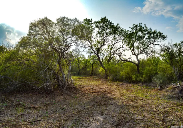 Photo 1 of Land for sale at 0 Cr 207, Tuleta, TX 78146 | MLS# 1963113 | Listing updated on 2026-05-12