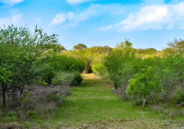 Photo 3 of Land for sale at 0 Cr 207, Tuleta, TX 78146 | MLS# 1963113 | Listing updated on 2026-05-12