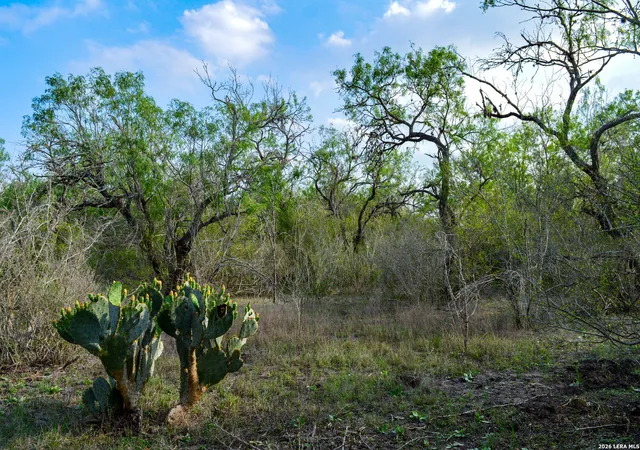 Photo 3 of House for sale at 0 Cr 207, Tuleta, TX 78146 | MLS# 1963113 | Listing updated on 2026-05-12
