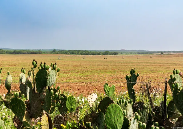 Photo 3 of Land for sale at Tbd County Road 3000 Keystone, Pearsall, TX 78061 | MLS# 1963379 | Listing updated on 2026-08-18