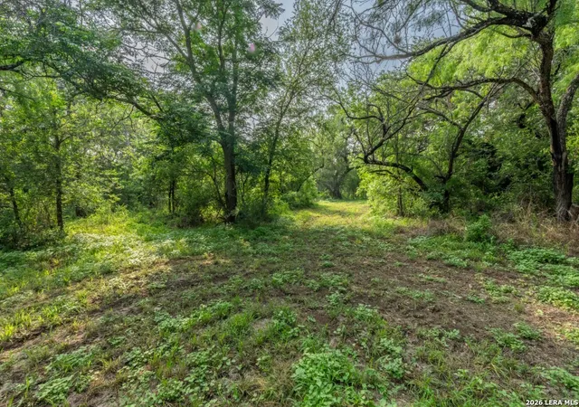 2nd image of 224 County Road 662, Devine, TX 78016 | MLS# 1963629