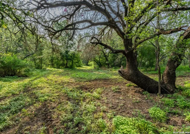 3rd image of 224 County Road 662, Devine, TX 78016 | MLS# 1963629