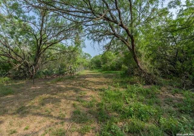 4th image of 224 County Road 662, Devine, TX 78016 | MLS# 1963629