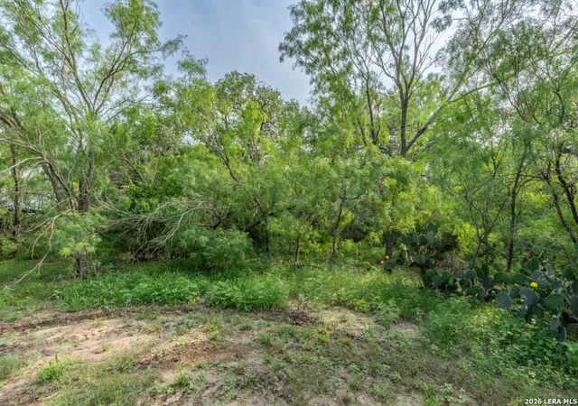5th image of 224 County Road 662, Devine, TX 78016 | MLS# 1963629