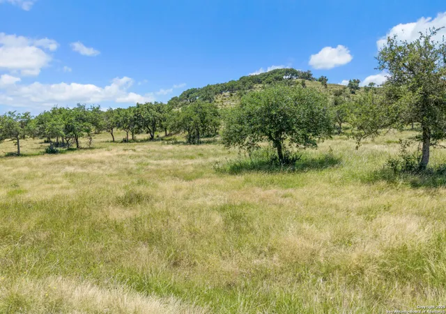 5th image of Tbd Kendalia Rd, Blanco, TX 78606 | MLS# 1963771