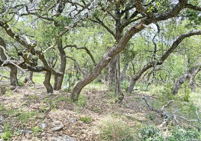 Photo 1 of Land for sale at 25726 Echo Mtn, San Antonio, TX 78260 | MLS# 1963783 | Listing updated on 2026-05-15