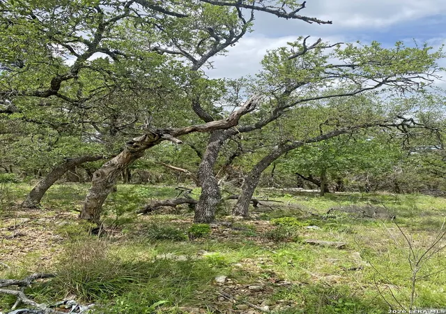 Photo 3 of Land for sale at 25726 Echo Mtn, San Antonio, TX 78260 | MLS# 1963783 | Listing updated on 2026-05-15