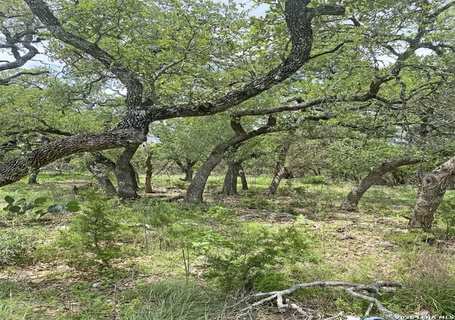 Photo 4 of Land for sale at 25726 Echo Mtn, San Antonio, TX 78260 | MLS# 1963783 | Listing updated on 2026-05-15