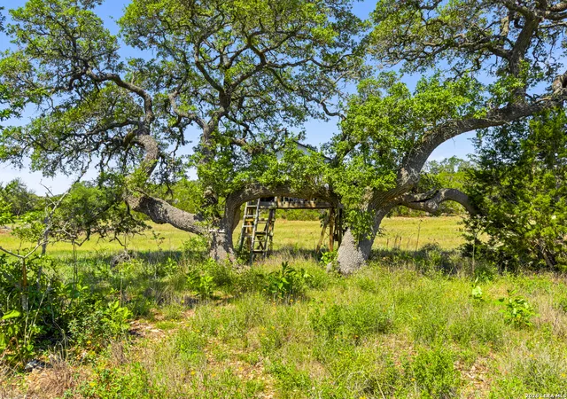 Photo 1 of Sale Pending at 163 N Stallion Estates Dr, Spring Branch, TX 78070 | MLS# 1963926 | Listing updated on 2026-09-14