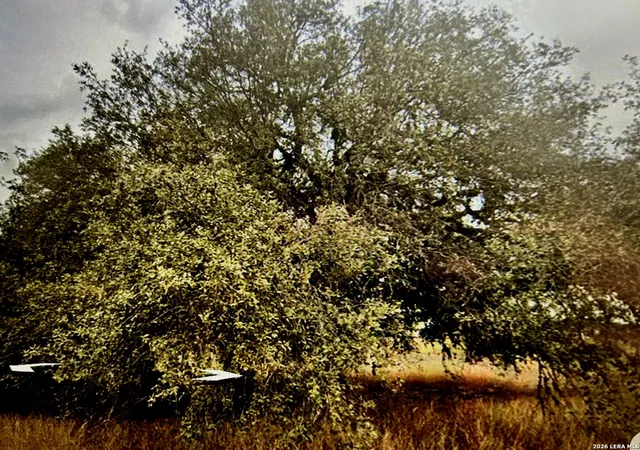 3rd image of 71 River Blf, Castroville, TX 78009 | MLS# 1964230