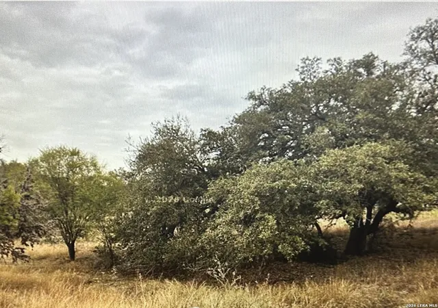 5th image of 71 River Blf, Castroville, TX 78009 | MLS# 1964230