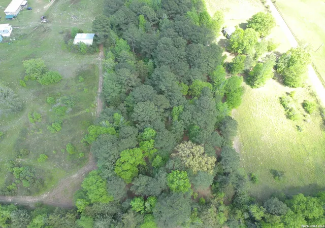 6th image of 0 County Road 2228, Douglassville, TX 75560 | MLS# 1964359