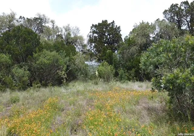 Photo 3 of Land for sale at 460 County Road 2753, Mico, TX 78056 | MLS# 1964674 | Listing updated on 2026-05-18