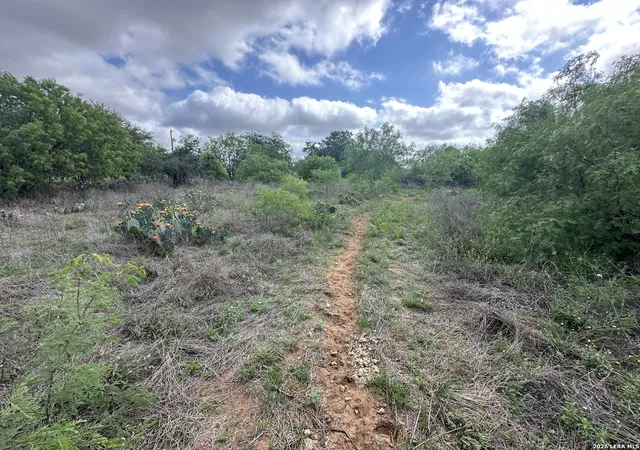 Photo 1 of Land for sale at 17603 Shepherd Rd, Atascosa, TX 78002 | MLS# 1965027 | Listing updated on 2026-08-17