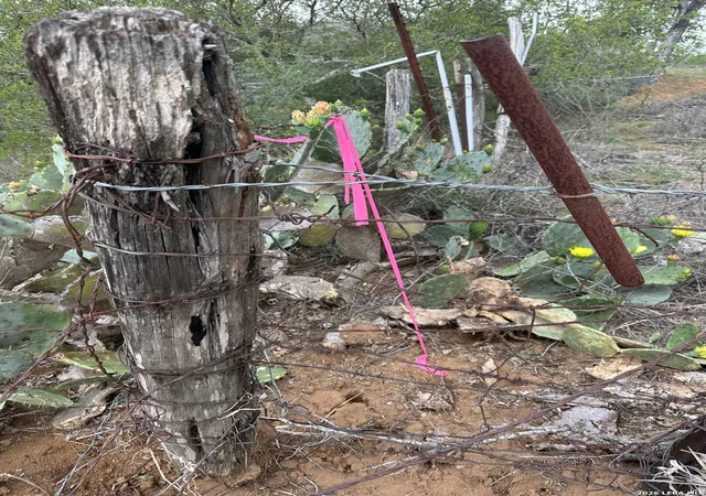 Photo 2 of Land for sale at 17603 Shepherd Rd, Atascosa, TX 78002 | MLS# 1965027 | Listing updated on 2026-08-17